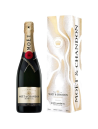 Moet & Chandon Brut Gift 2020 12% 0,75l